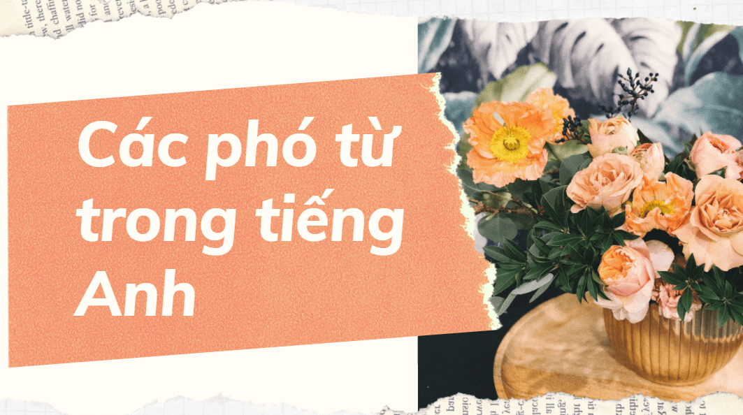 Các phó từ trong tiếng Anh: Vị trí, cấu trúc, cách sử dụng và bài tập - Tiếng Anh Du Học