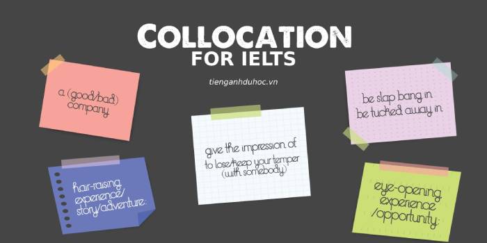 Cách dùng Collocation for IELTS