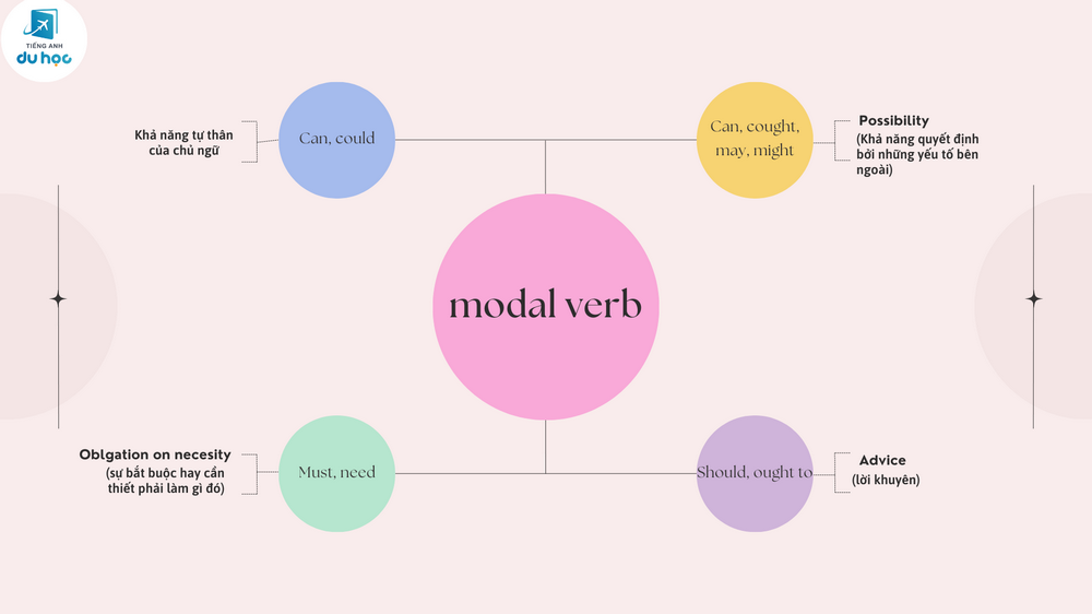 Modal verb là gì? Tất tần tật chi tiết về Modal verb